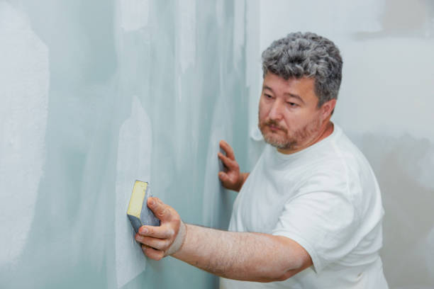 Professional Drywall & Painting Services in Granville, IL